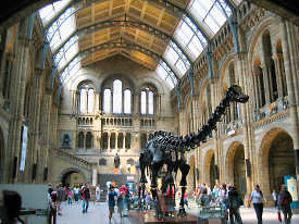 natural history museum Londres